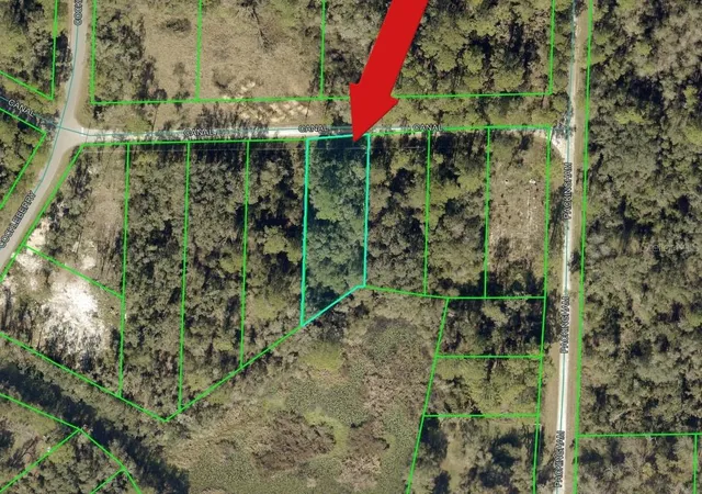 Land for sale at North Cnl St, WEBSTER, FL 33597 | MLS# A4706797