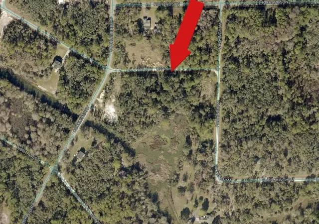 Photo 3 of Land for sale at North Cnl St, Webster, FL 33597 | MLS# A4706797 | Listing updated on 2026-09-21