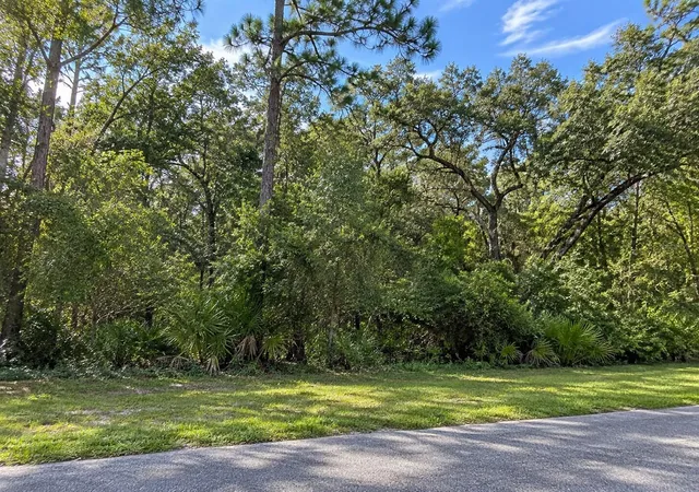 Photo 2 of Land for sale at Lithia Pinecrest Rd, Valrico, FL 33596 | MLS# TB8550595 | Listing updated on 2026-09-29