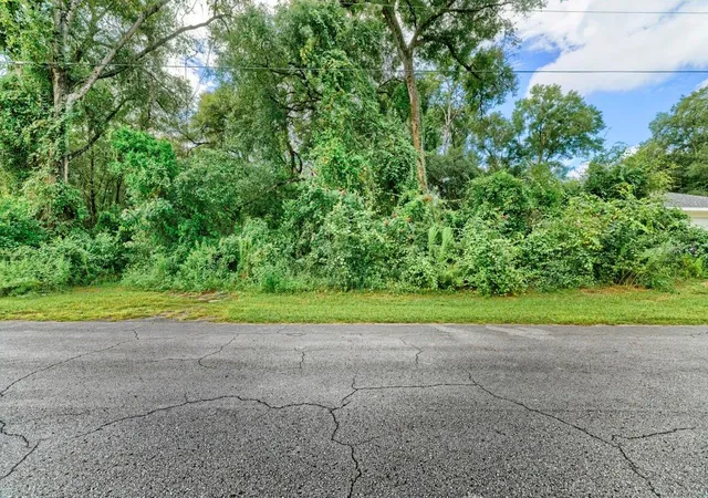Photo 3 of Land for sale at 3898 E Dano St, Inverness, FL 34453 | MLS# TB8550597 | Listing updated on 2026-09-22
