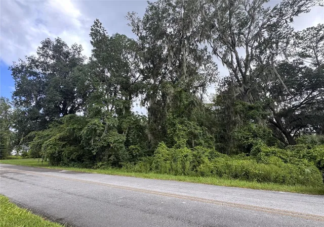 Land for sale at SE 4th Avenue, MELROSE, FL 32666 | MLS# GC543660