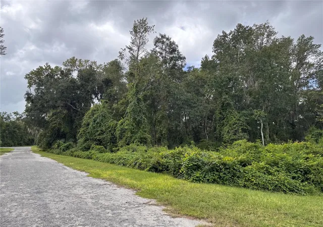 Photo 4 of Land for sale at SE 4th Avenue, Melrose, FL 32666 | MLS# GC543660 | Listing updated on 2026-09-22