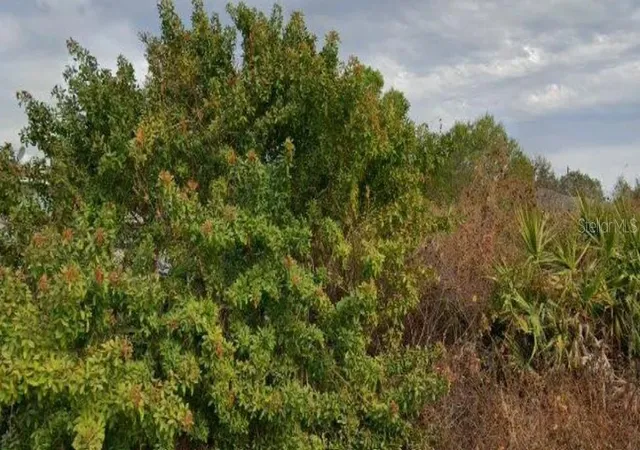 Land for sale at 6010 Elaine Ave N, LEHIGH ACRES, FL 33971 | MLS# L4965217