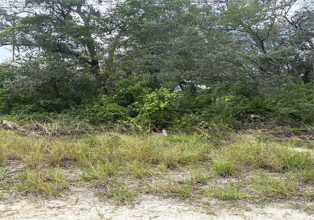 Photo 1 of Land for sale at 10333 Gilmer, New Port Richey, FL 34654 | MLS# W7889685 | Listing updated on 2026-09-22
