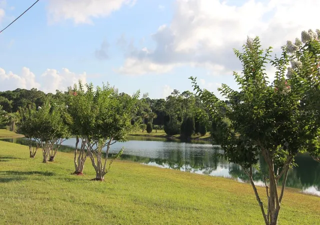 Photo 4 of Land for sale at 3472 Cobia Dr, Hernando Beach, FL 34607 | MLS# O6443562 | Listing updated on 2026-09-22