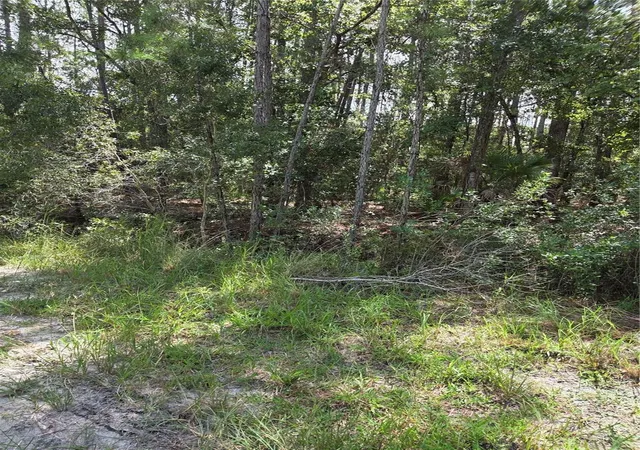 Land for sale at Southwest 140th Ave, OCALA, FL 34481 | MLS# FC321597