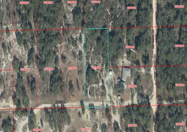 Land for sale at NE 91st Place, BRONSON, FL 32621 | MLS# A4706878