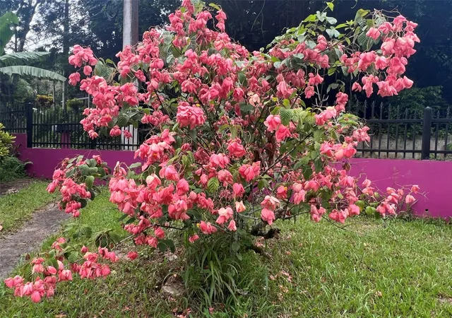 Photo 3 of House for sale at Rd 765 Km 47 Lot 1 Borinquen Ward, Caguas, PR 00725 | MLS# PR9124357 | Listing updated on 2026-09-23