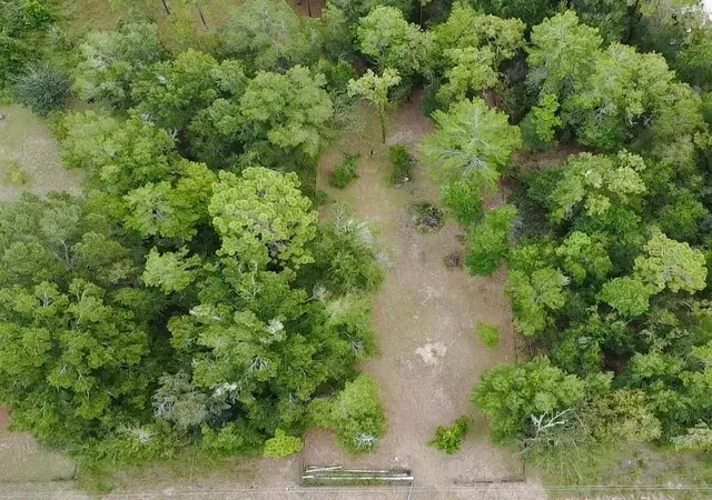 Land for sale at 4717 NE 141st Avenue, WILLISTON, FL 32696 | MLS# GC543669