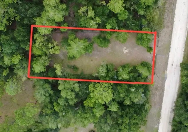 Photo 1 of Land for sale at 4717 NE 141st Avenue, Williston, FL 32696 | MLS# GC543669 | Listing updated on 2026-09-22