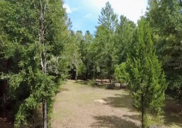 Photo 3 of Land for sale at 4717 NE 141st Avenue, Williston, FL 32696 | MLS# GC543669 | Listing updated on 2026-09-22