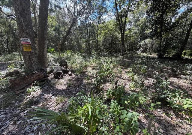 Photo 4 of Land for sale at 0 NE 37th Street, Silver Springs, FL 34488 | MLS# OM732656 | Listing updated on 2026-09-22