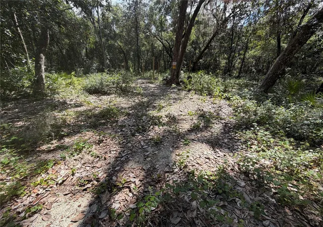 Photo 3 of Land for sale at 0 NE 37th Street, Silver Springs, FL 34488 | MLS# OM732656 | Listing updated on 2026-09-22