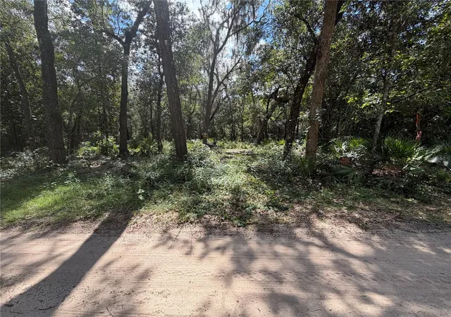 Photo 1 of Land for sale at 0 NE 37th Street, Silver Springs, FL 34488 | MLS# OM732656 | Listing updated on 2026-09-22