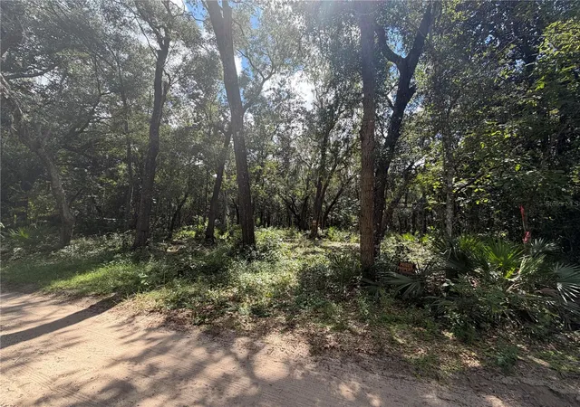 Land for sale at 0 NE 37th Street, SILVER SPRINGS, FL 34488 | MLS# OM732656