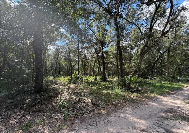 Photo 2 of Land for sale at 0 NE 37th Street, Silver Springs, FL 34488 | MLS# OM732656 | Listing updated on 2026-09-22