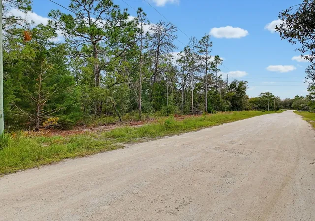 Photo 3 of Land for sale at 0 Kanawha Dr, Weeki Wachee, FL 34614 | MLS# W7889696 | Listing updated on 2026-09-29