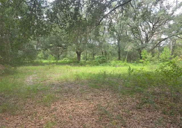 Photo 1 of Land for sale at 16604 Ne 21st Street, Gainesville, FL 32609 | MLS# GC543677 | Listing updated on 2026-09-22