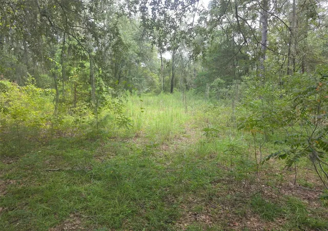 Photo 2 of Land for sale at 16604 Ne 21st Street, Gainesville, FL 32609 | MLS# GC543677 | Listing updated on 2026-09-22