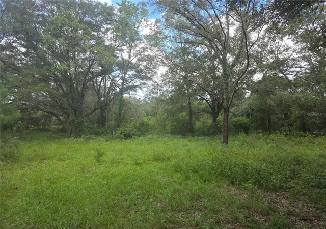Photo 3 of Land for sale at 16604 Ne 21st Street, Gainesville, FL 32609 | MLS# GC543677 | Listing updated on 2026-09-22