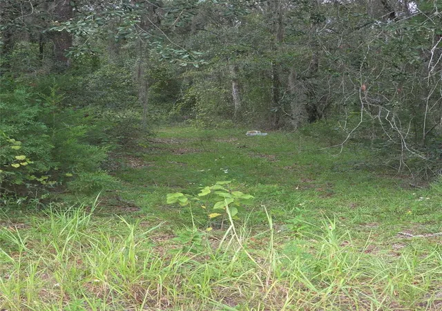 Photo 3 of Land for sale at 16604 NE 21st Street, Gainesville, FL 32609 | MLS# GC543677 | Listing updated on 2026-09-22