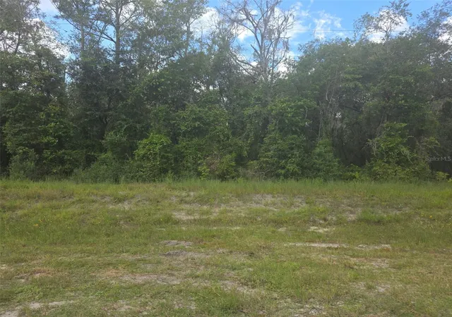 Photo 4 of Land for sale at 16604 NE 21st Street, Gainesville, FL 32609 | MLS# GC543677 | Listing updated on 2026-09-22