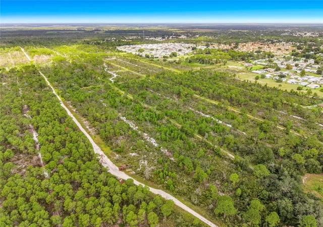 Photo 4 of Land for sale at 443 Parrot Ave, Sebring, FL 33870 | MLS# L4965233 | Listing updated on 2026-09-30