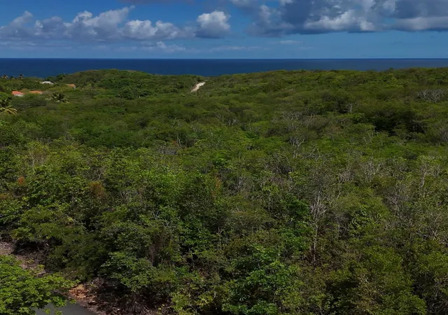 Photo 2 of Land for sale at Robley Valley #46, Humacao, PR 00791 | MLS# PR9124364 | Listing updated on 2026-09-22