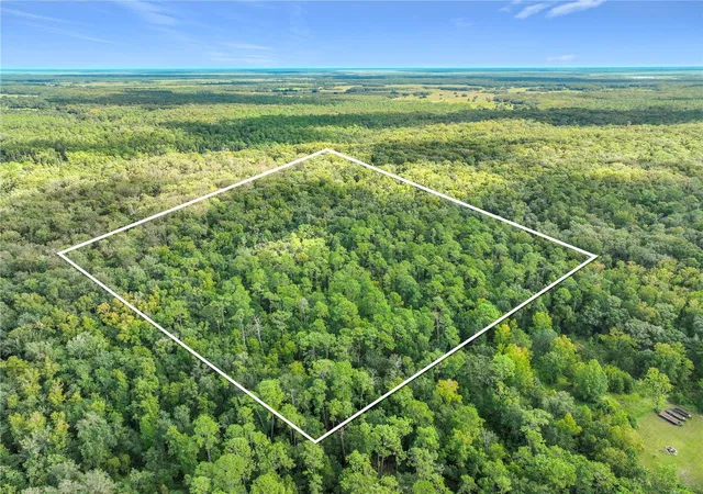 Photo 3 of Land for sale at E Colonial Dr, Christmas, FL 32709 | MLS# O6443732 | Listing updated on 2026-09-29