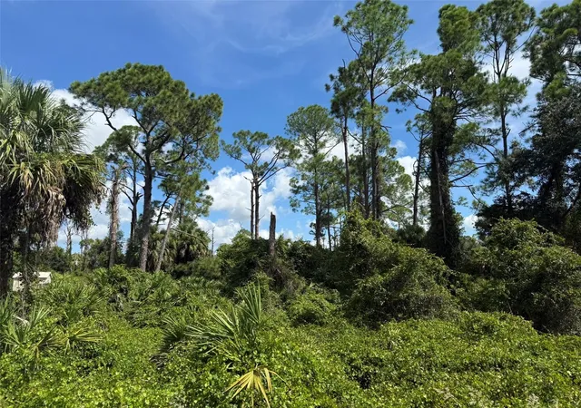 Photo 4 of Land for sale at Lutz Rd, North Port, FL 34286 | MLS# C7531030 | Listing updated on 2026-09-22