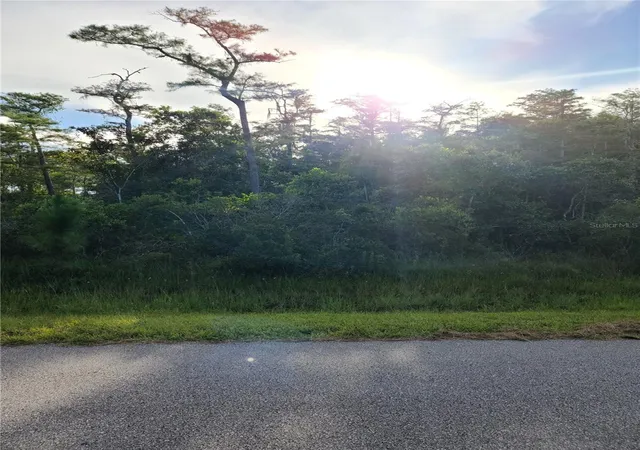 Photo 1 of Land for sale at Pierre Ave #Lot 162, Saint Cloud, FL 34773 | MLS# S5158055 | Listing updated on 2026-09-22