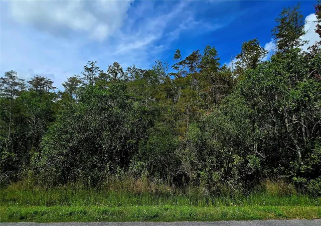 Land for sale at Pierre Ave #Lot 162, Saint Cloud, FL 34773 | MLS# S5158055
