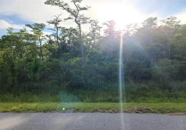 Photo 2 of Land for sale at Pierre Ave #Lot 162, Saint Cloud, FL 34773 | MLS# S5158055 | Listing updated on 2026-09-22