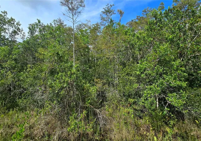 Photo 2 of Land for sale at Pierre Ave #Lot 162, Saint Cloud, FL 34773 | MLS# S5158055 | Listing updated on 2026-10-08