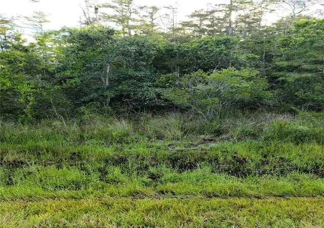Photo 3 of Land for sale at Pierre Ave #Lot 162, Saint Cloud, FL 34773 | MLS# S5158055 | Listing updated on 2026-09-22