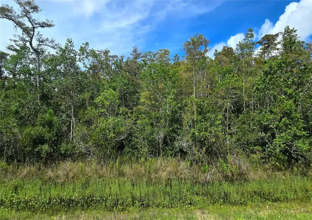 Photo 3 of Land for sale at Pierre Ave #Lot 162, Saint Cloud, FL 34773 | MLS# S5158055 | Listing updated on 2026-10-08