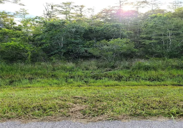 Photo 3 of Land for sale at Pierre Ave #Lot 162, Saint Cloud, FL 34773 | MLS# S5158055 | Listing updated on 2026-09-22