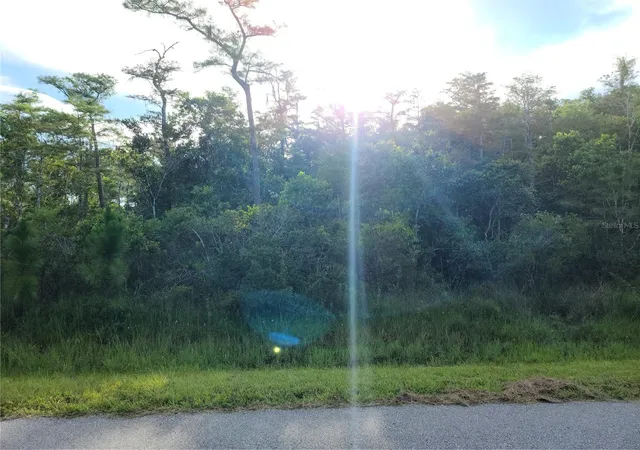 Photo 4 of Land for sale at Pierre Ave #Lot 162, Saint Cloud, FL 34773 | MLS# S5158055 | Listing updated on 2026-09-22