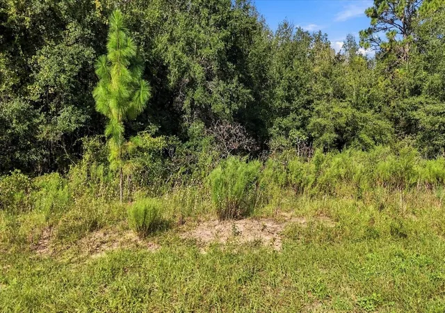 Photo 3 of Sale Pending at 4324 N Wigwam Ter, Beverly Hills, FL 34465 | MLS# OM732676 | Listing updated on 2026-10-04