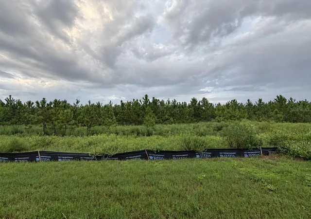 Photo 2 of Single family home for sale at 8417 Danbury Ln, Hudson, FL 34667 | MLS# W7889705 | Listing updated on 2026-09-26