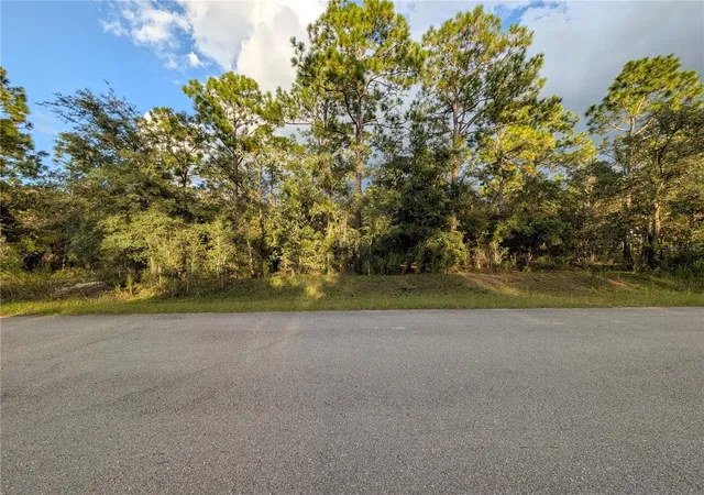 Photo 1 of Land for sale at Nw Buena Vista Rd, Dunnellon, FL 34431 | MLS# OM732680 | Listing updated on 2026-10-02