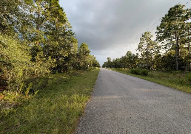 Photo 3 of Land for sale at NW Buena Vista Rd, Dunnellon, FL 34431 | MLS# OM732680 | Listing updated on 2026-10-02