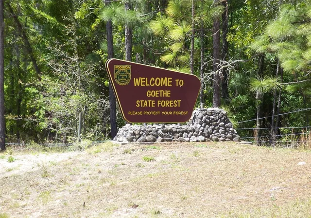 Photo 4 of Land for sale at NW Buena Vista Rd, Dunnellon, FL 34431 | MLS# OM732680 | Listing updated on 2026-10-02