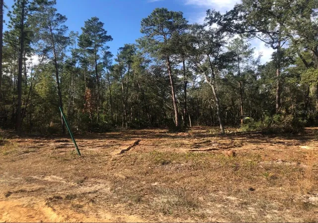 Photo 1 of Land for sale at 819 Creageer Ave, Interlachen, FL 32148 | MLS# G5118118 | Listing updated on 2026-09-24