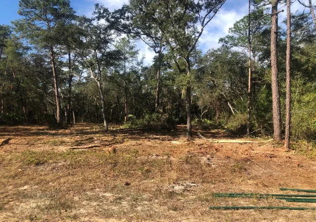 Photo 3 of Land for sale at 819 Creageer Ave, Interlachen, FL 32148 | MLS# G5118118 | Listing updated on 2026-09-24