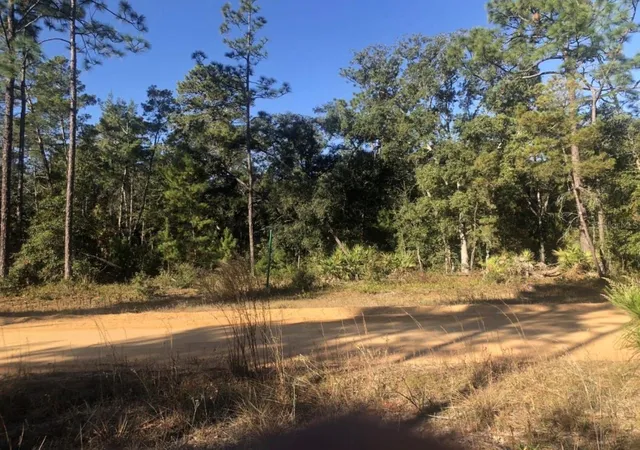 Photo 3 of Land for sale at 819 Creageer Ave, Interlachen, FL 32148 | MLS# G5118118 | Listing updated on 2026-09-24