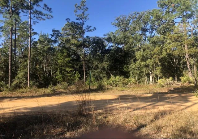 Photo 4 of Land for sale at 819 Creageer Ave, Interlachen, FL 32148 | MLS# G5118118 | Listing updated on 2026-09-24