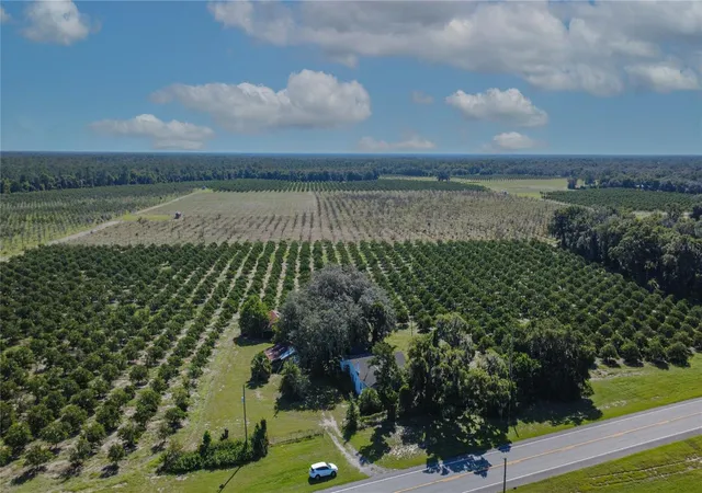 Land for sale at State Rd 11, DE LEON SPRINGS, FL 32130 | MLS# V4951422