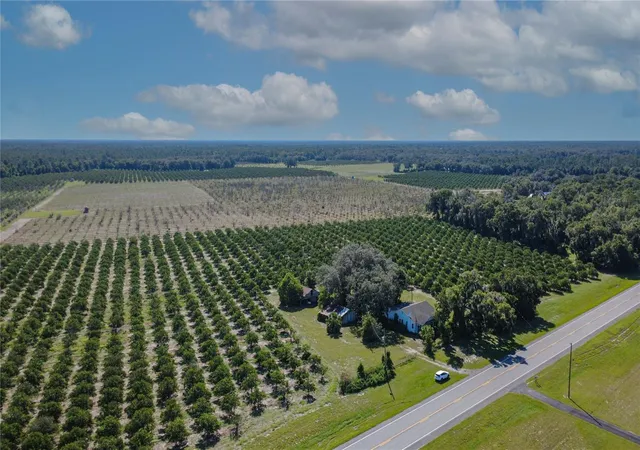 Photo 3 of Land for sale at State Rd 11, De Leon Springs, FL 32130 | MLS# V4951422 | Listing updated on 2026-09-23