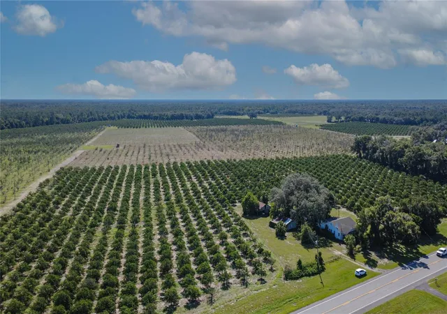 Photo 4 of Land for sale at State Rd 11, De Leon Springs, FL 32130 | MLS# V4951422 | Listing updated on 2026-09-23